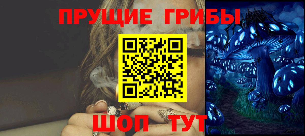 Галлюциногенные грибы Magic Shrooms  Вход с VPN  Кольчугино  Галлюциногенные грибы Cubensis 
